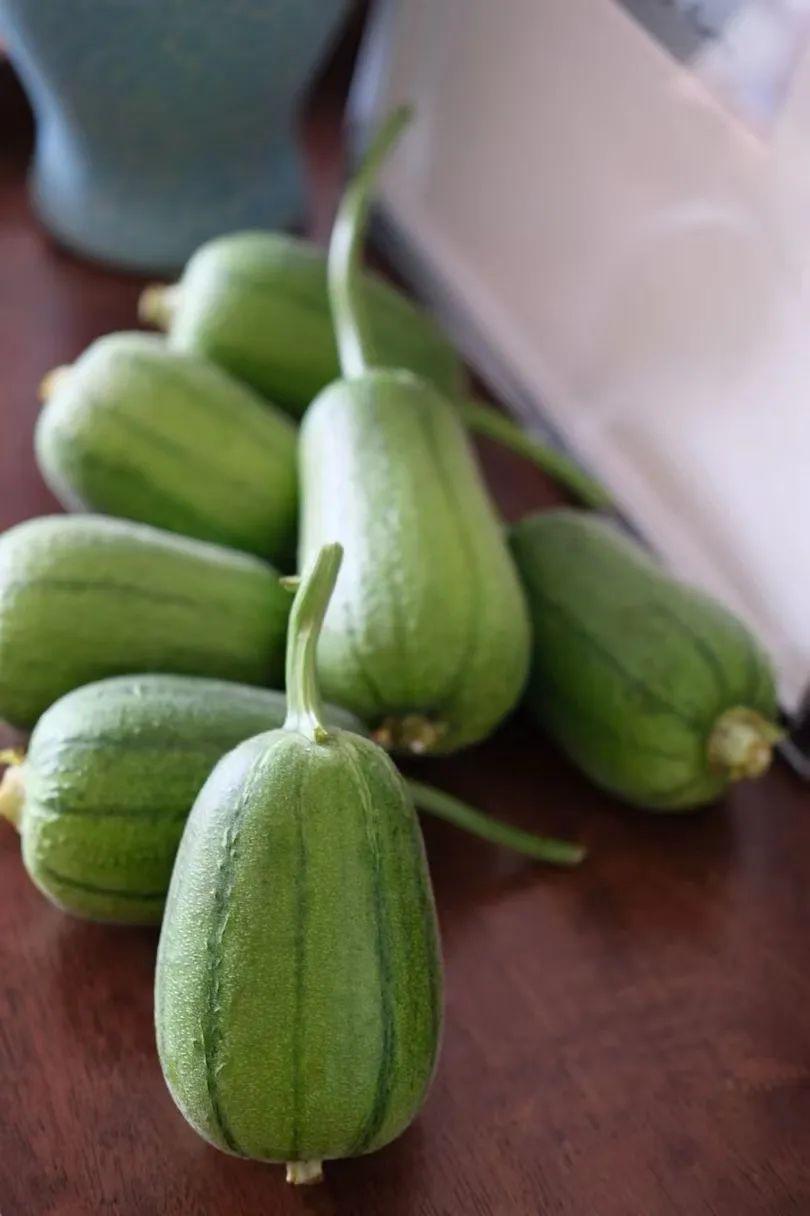 蘋果絲瓜最新版，全新升級魅力體驗