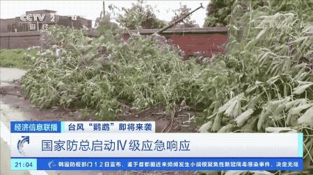 超強臺風鸚鵡來襲，最新路徑動態(tài)全解析???