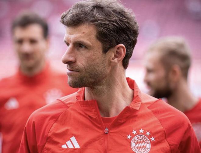 慕尼黑最新動態(tài)，城市生活的溫馨日常