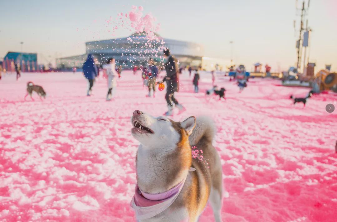 小信的世界最新科技前沿產(chǎn)品亮相，生活變革從此刻啟程