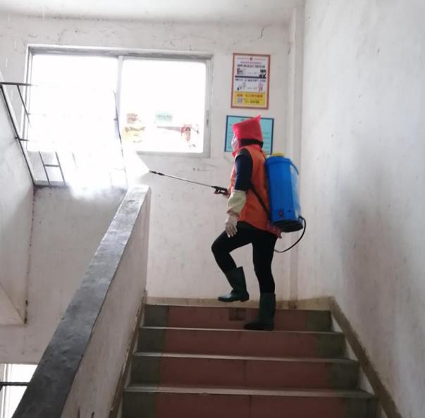 蓬江區(qū)最新高科技住宅，重塑未來生活體驗的首選之地