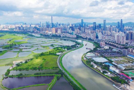 當下流行語探尋之旅，與大自然共舞，尋找內心平靜之旅