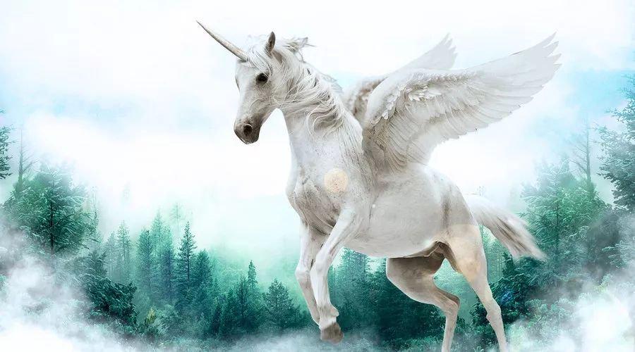 中國(guó)最新獨(dú)角獸，自信與成就感的源泉